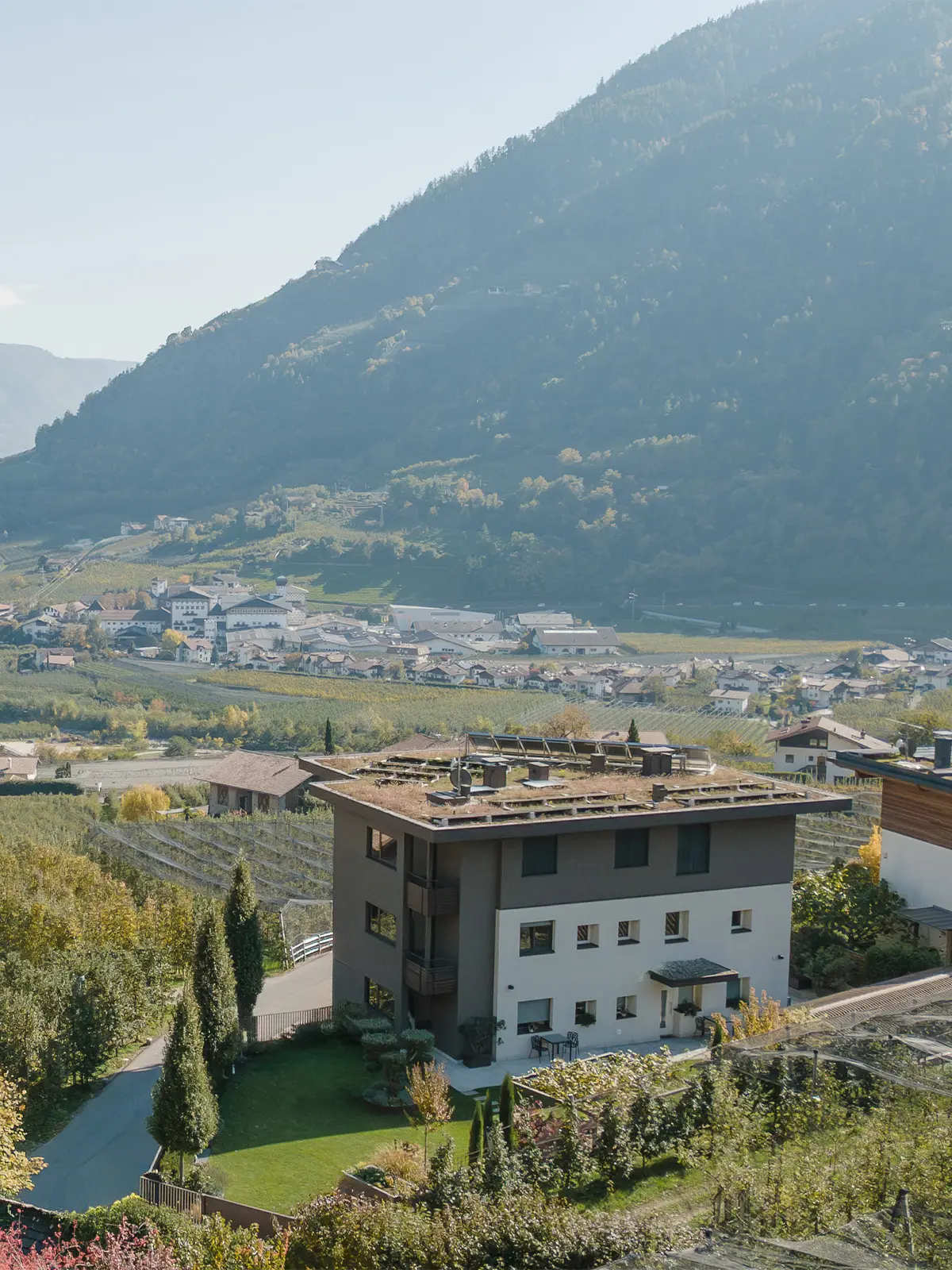 Abendstimmung Algund